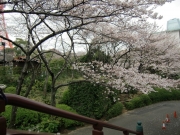 cimg0873