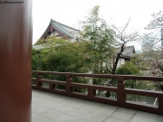 cimg0875