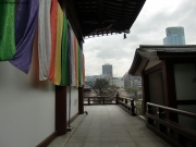 cimg0876