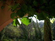 DSCN0032