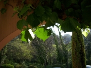 DSCN0033