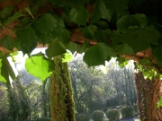DSCN0034