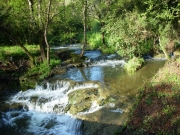 DSCN0038