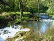 DSCN0039