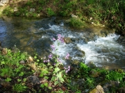 DSCN0040