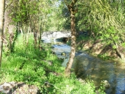 DSCN0041