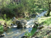 DSCN0043