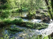 DSCN0044