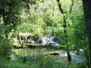 DSCN0045