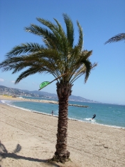 DSCN0056