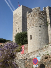 DSCN0084