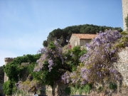 DSCN0085