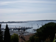 DSCN0089