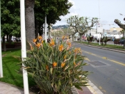 DSCN0135
