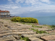 DSCN0154