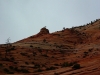 P1030881