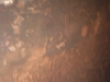 P1030684